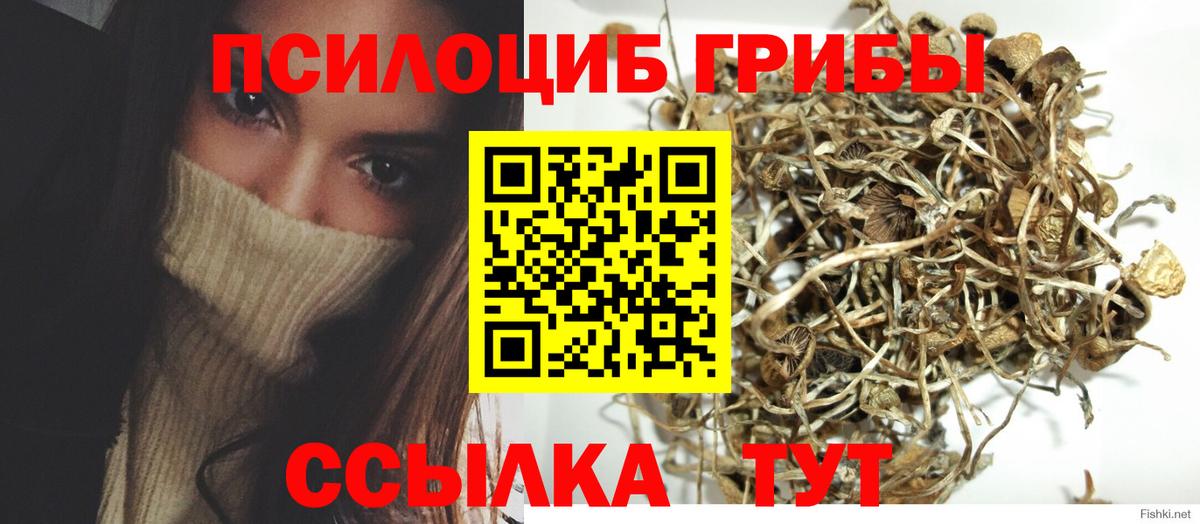 Воскресенск  Галлюциногенные грибы Cubensis  где купить наркоту  Вход с VPN  Псилоцибиновые грибы мицелий 