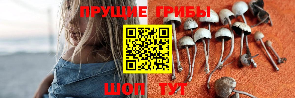 Псилоцибиновые грибы Cubensis Воскресенск